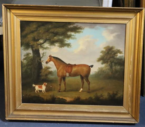 English School c.1840 Portrait of a horse and spaniel in a landscape 16.5 x 20.5in.